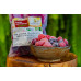 Mix Frutas Vermelhas Congeladas Orgânicas 400g Mix Frutas Vermelhas Congeladas Orgânicas 400g